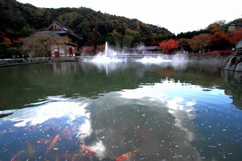 勝尾寺_3-2.jpg