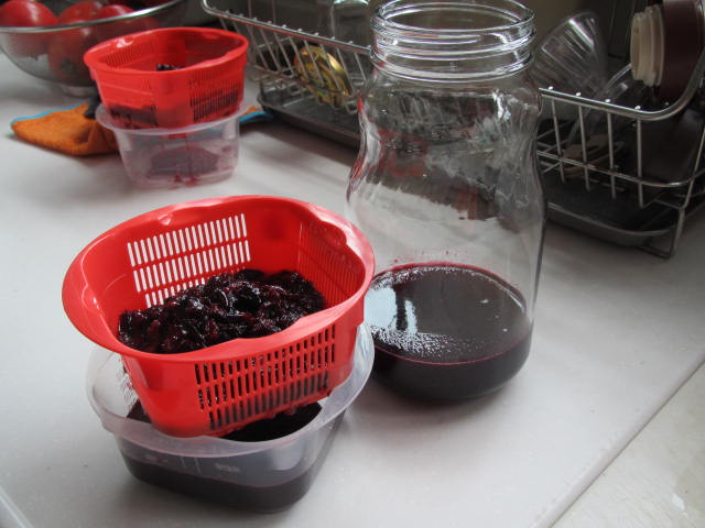 できあがった酵素ドリンク