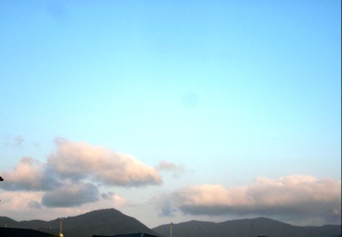 IMG_4016.jpg