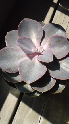 20140323210205.jpg