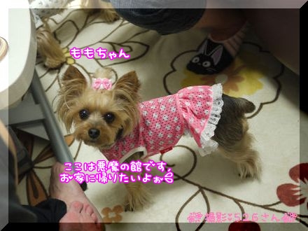 撮影526.jpg