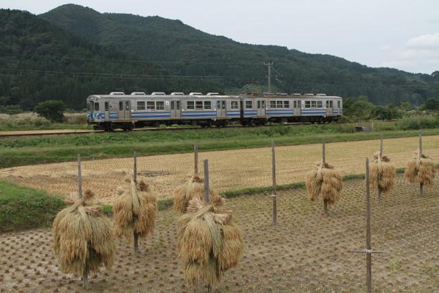 大鰐線 の 旧 東急電車