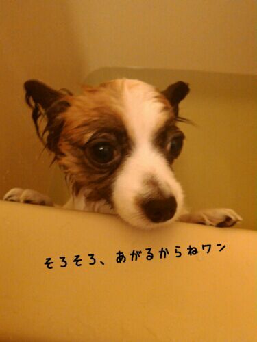 rblog-20161215182435-01.jpg