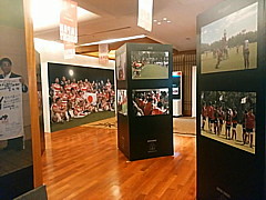IMG_20151226_175041.jpg