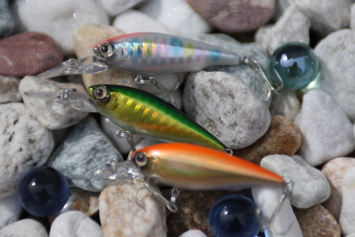 週末限定タイムセール Yo Zuri ヨーヅリ ルアー トローリング ボニータ 170mm Cpb 自重 180g R1157 Cpb パープルブラック並行輸入品 Advgustavoespindola Com