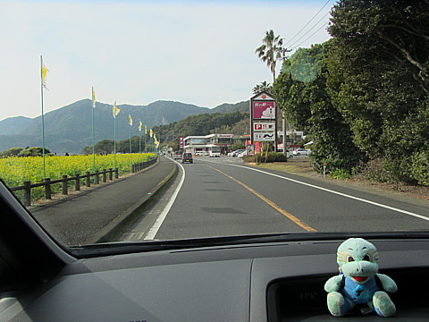 IMG_2803.jpg