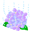 あじさい.gif