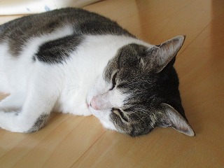 IMG_4789ss.jpg