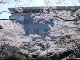 IMG_1283.JPG