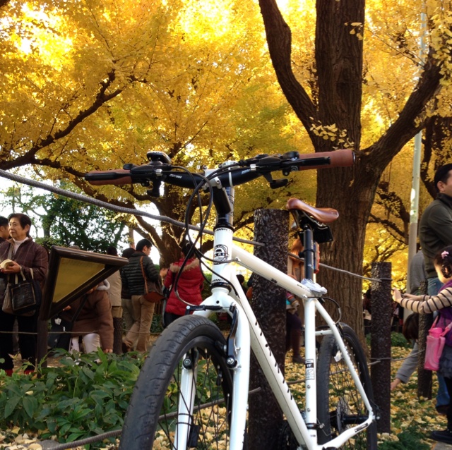 外苑前 銀杏と自転車