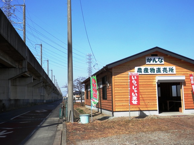 直売所P3090079ﾌﾞﾛｸﾞ.jpg