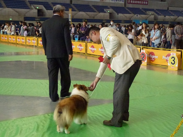 P1010261 - コピー.JPG
