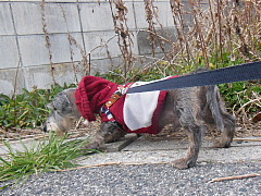 conv0771.JPG