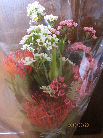 オーストラリアミックス