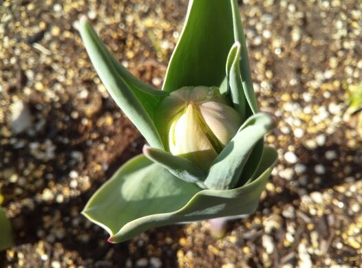 rblog-20140409230823-01.jpg