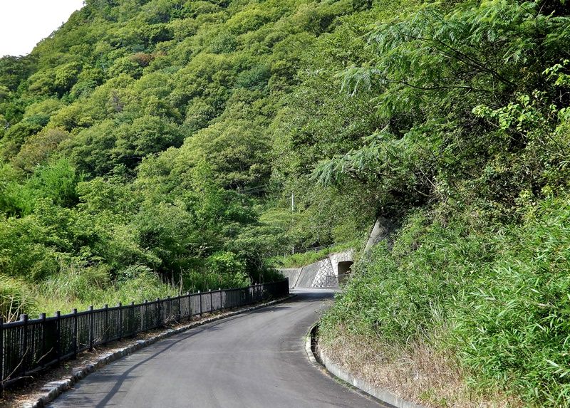 遊歩道9