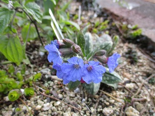IMG_9462ss.jpg