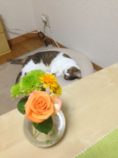 IMG_0224.jpg