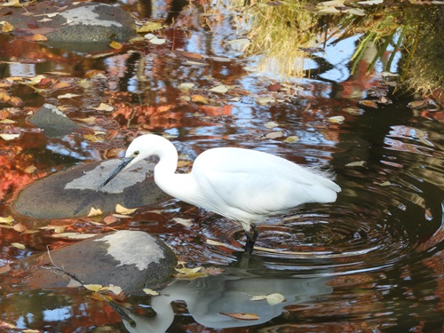 日比谷公園