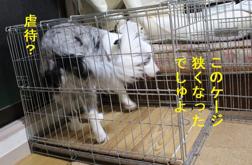 せまい
