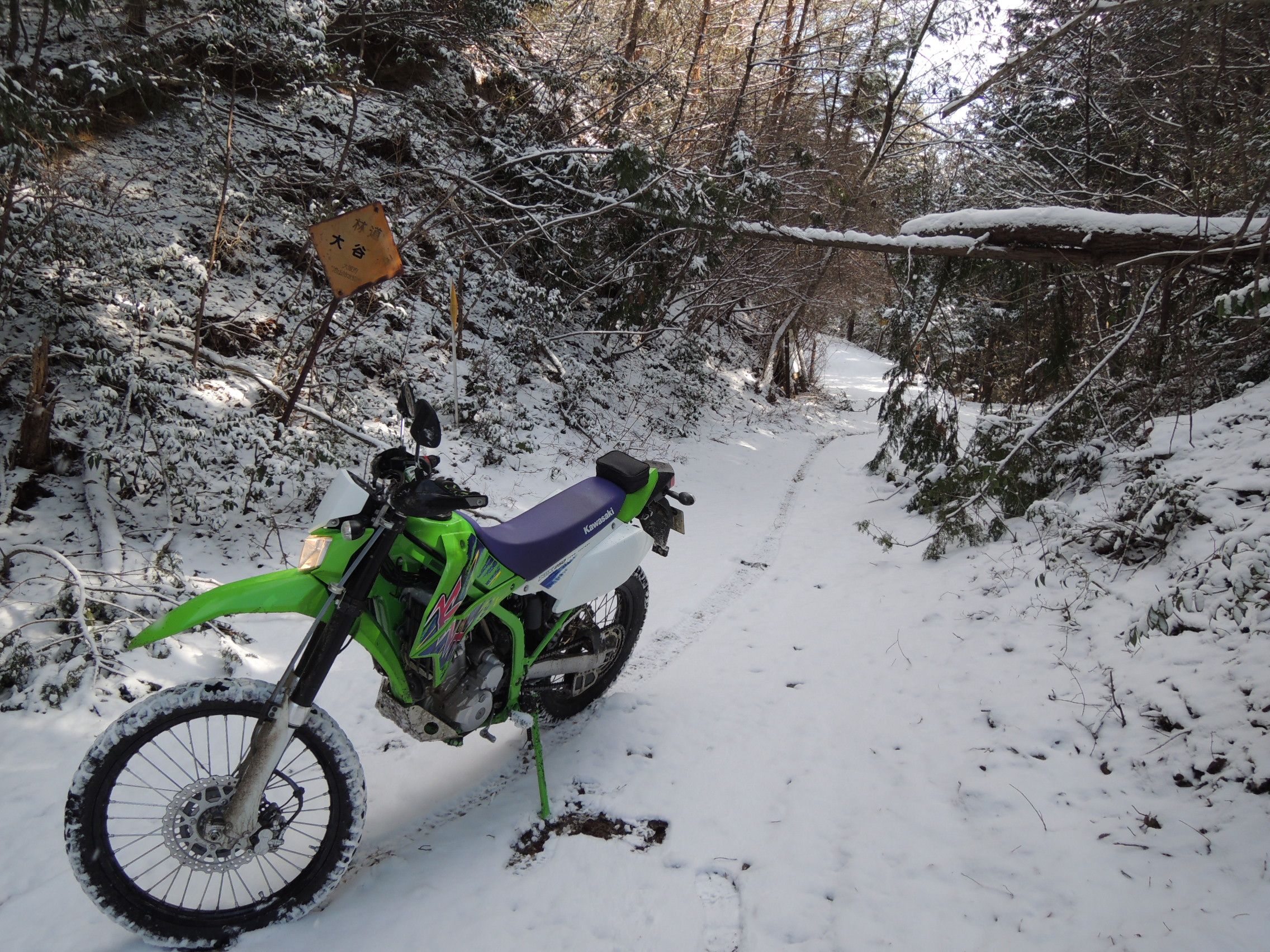 雪の予報なのに | たけたけの休日 バイクとお寺と登山 - 楽天ブログ
