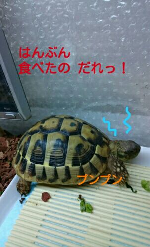 rblog-20151122175810-02.jpg