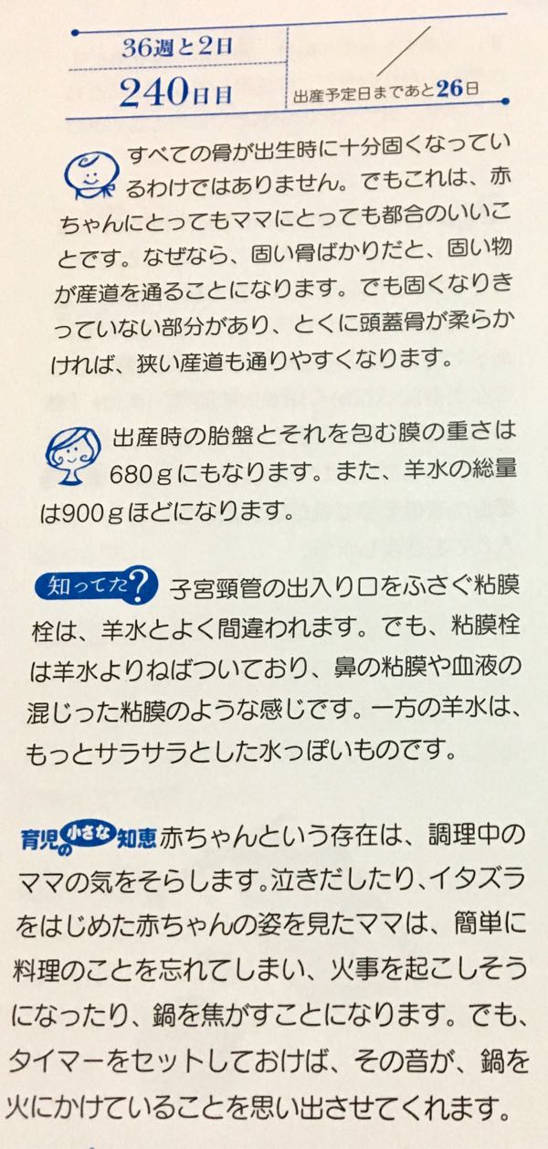 36w2d 出産準備品 マタニティ編 主婦りんごの株主優待生活 楽天ブログ