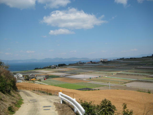 IMG_7923.JPG