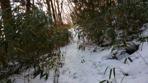 s-20140122笹倉山登り雪が深く.jpg