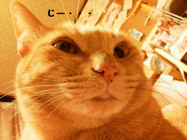 見下ろすまる