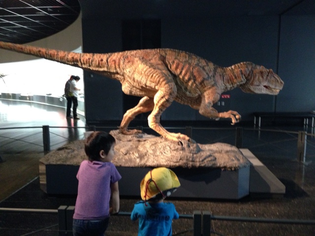 rblog-20130804231927-01.jpg