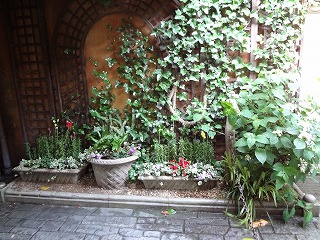 DSC01354.jpg
