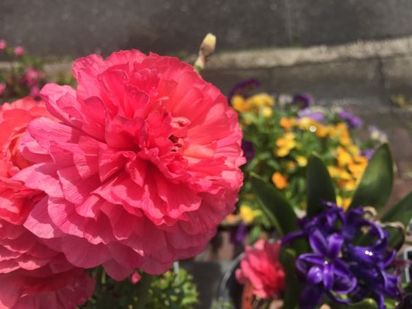 rblog-20160406142601-05.jpg