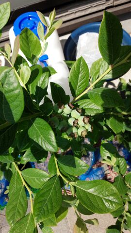 rblog-20140508141323-00.jpg