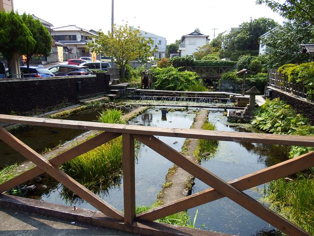 DSCF1839.JPG