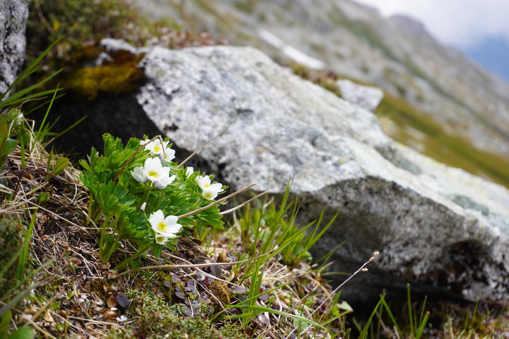 立山登山 | ponko2blog - 楽天ブログ