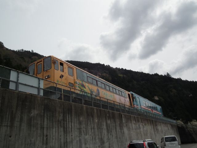 DSCF3703.JPG