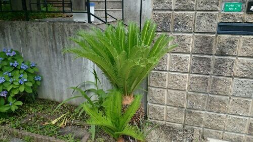 rblog-20170704182818-06.jpg