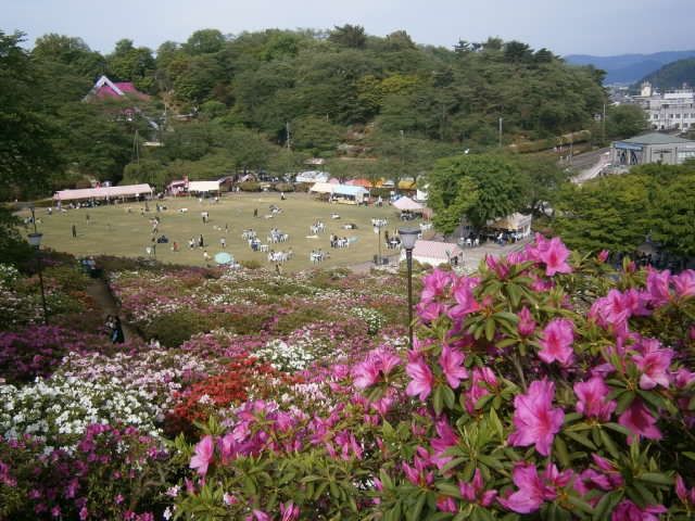 西山公園つつじ祭り 何も無い 福井県のブログ 楽天ブログ