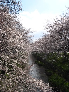 goyousui_03