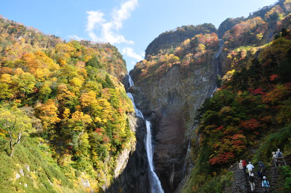 称名滝の紅葉