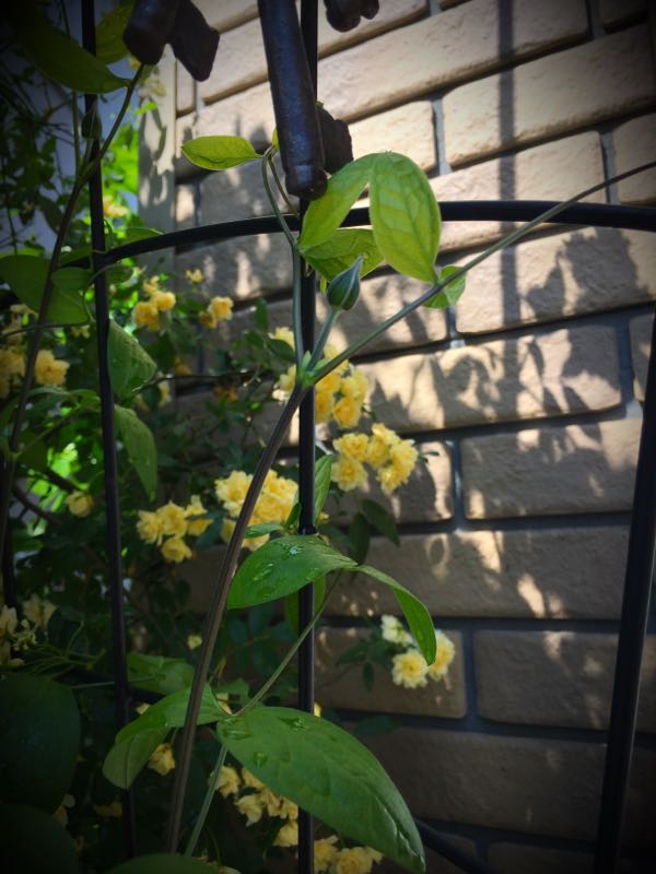 rblog-20160430181122-03.jpg