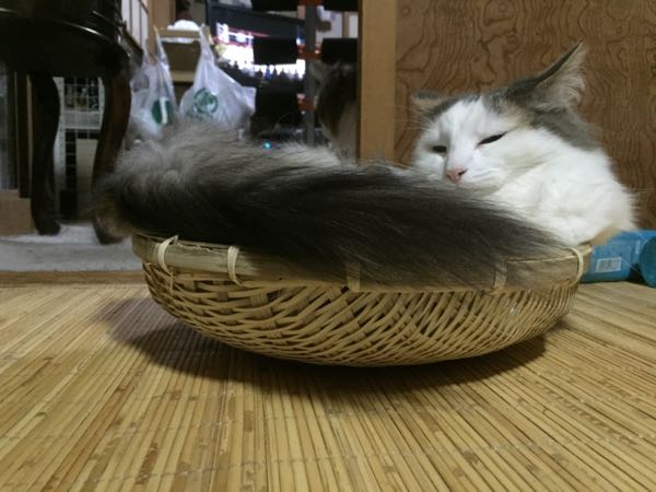 rblog-20150507142713-05.jpg