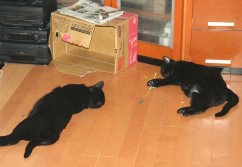20121216ﾅﾅ_ﾀｸ02.jpg