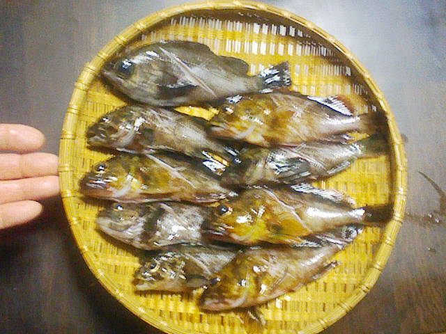 F1000011 - コピー.JPG