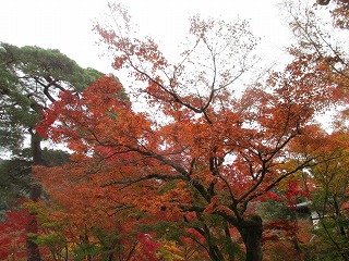 IMG_3498ss.jpg