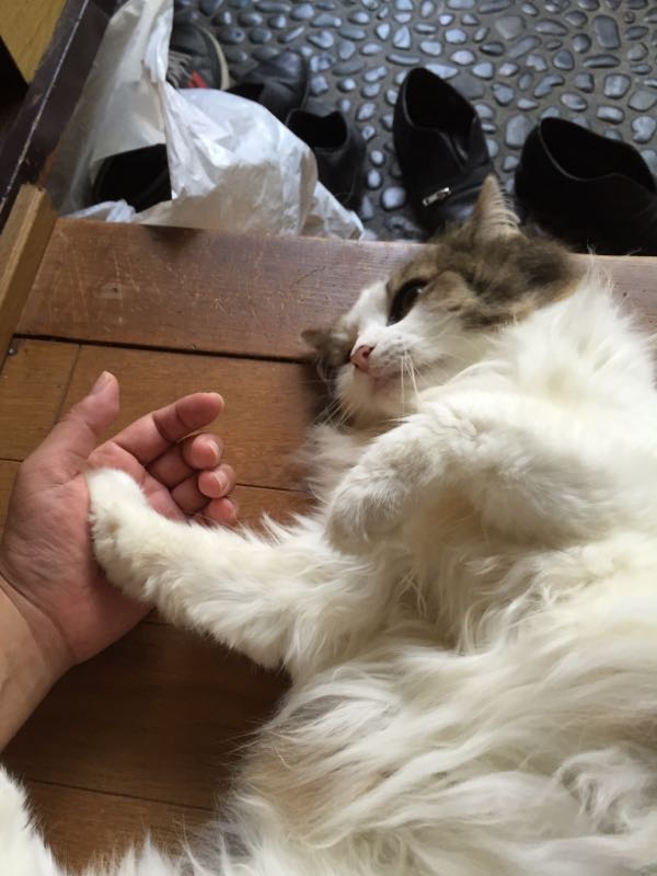 rblog-20150729091845-03.jpg