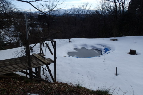 donndenn150118004