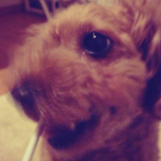 rblog-20130123114900-01.jpg
