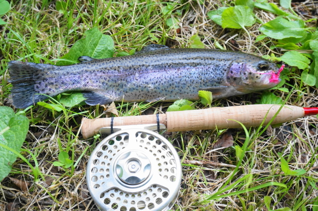 DSC05200.JPG